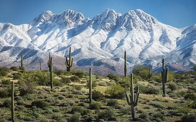 Camping and hiking gear online store featuring tents, backpacks, and outdoor essentials